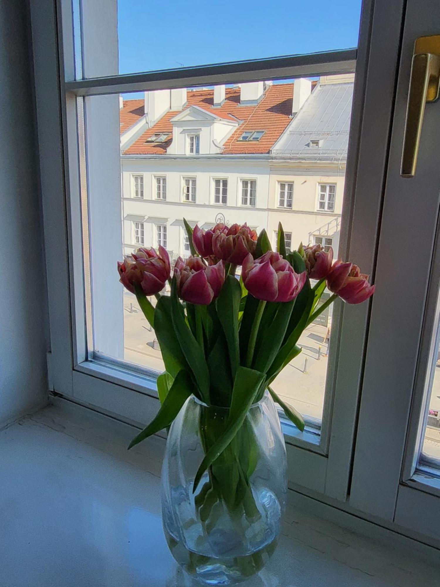 Novo Mundo Apartment Warsaw Luaran gambar